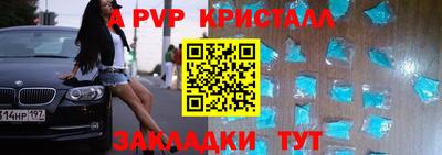 СК Новодвинск