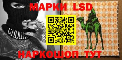 кокс Нальчик