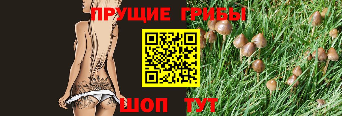Галлюциногенные грибы MAGIC MUSHROOMS Фурманов