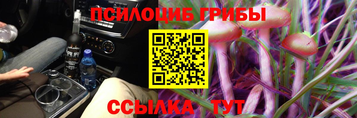 Псилоцибиновые грибы мицелий  наркотики  Фурманов  Вход с VPN 